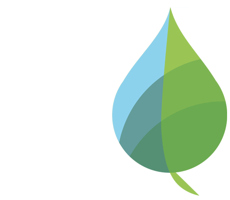 LOGOTIPO DE FESTUCA EN COLORES BLANCOS